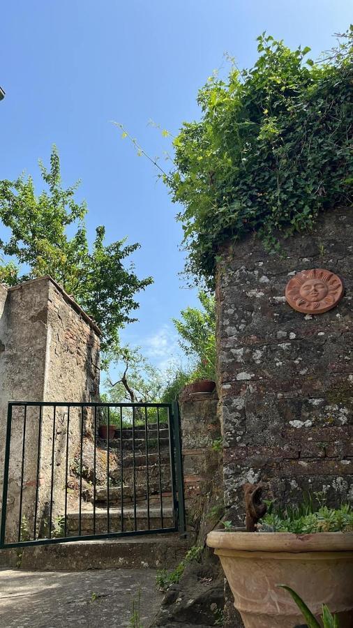 Casina Orione Apartment Montecatini Val di Cecina Exterior photo