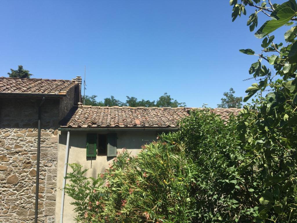 Casina Orione Apartment Montecatini Val di Cecina Exterior photo