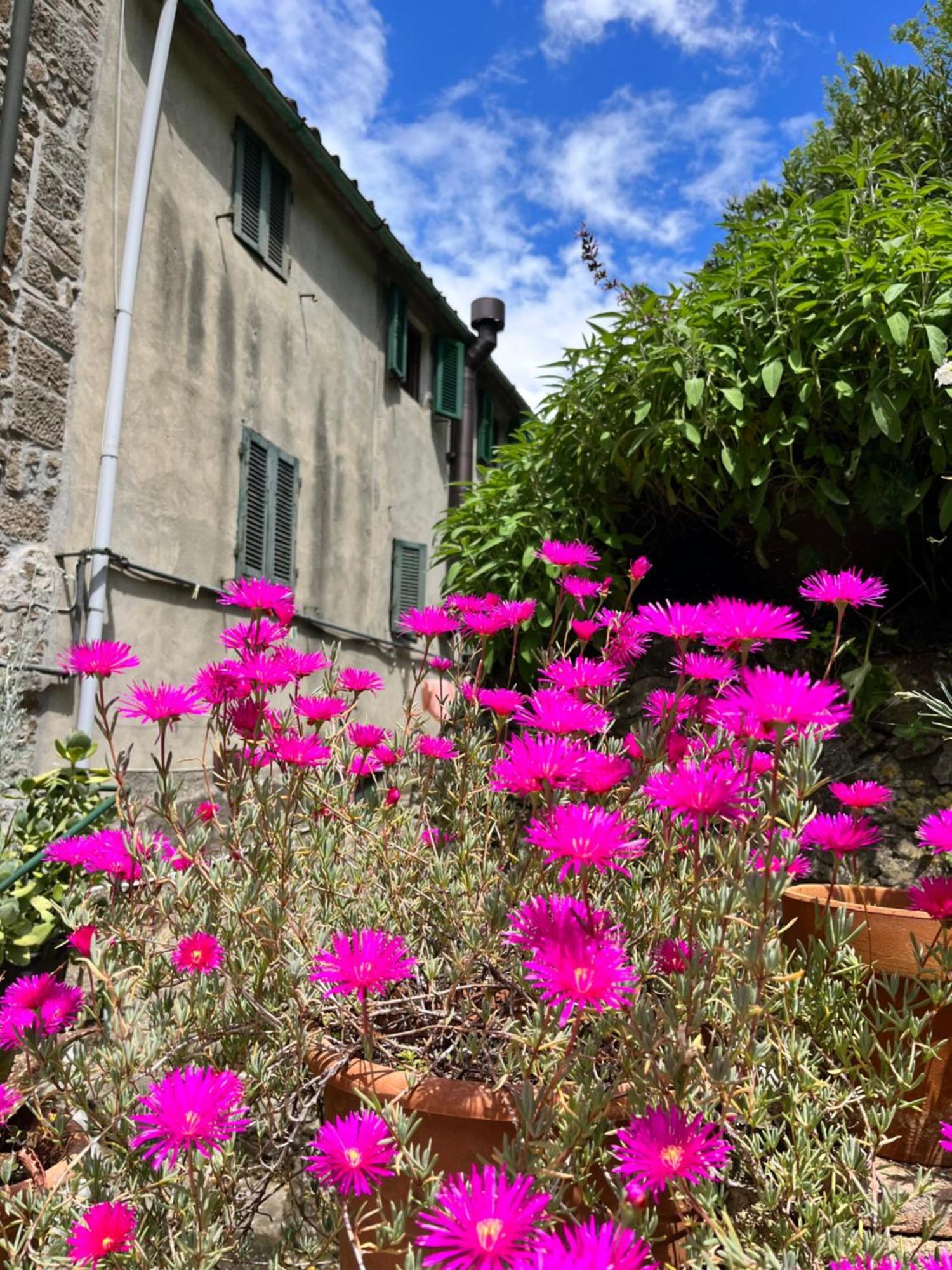 Casina Orione Apartment Montecatini Val di Cecina Exterior photo